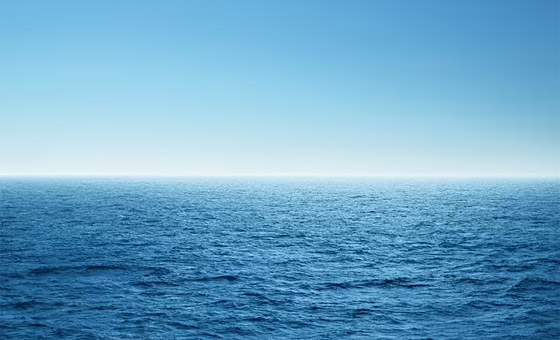 خطة لتعبئة المحيط الهادي بالحديد.. بهدف إنقاذ البشرية! صورة رقم 3 خطة لتعبئة المحيط الهادي بالحديد.. بهدف إنقاذ البشرية! صورة رقم 3