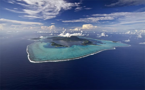 خطة لتعبئة المحيط الهادي بالحديد.. بهدف إنقاذ البشرية! صورة رقم 4 خطة لتعبئة المحيط الهادي بالحديد.. بهدف إنقاذ البشرية! صورة رقم 4