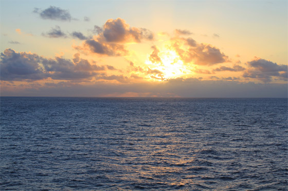 خطة لتعبئة المحيط الهادي بالحديد.. بهدف إنقاذ البشرية! صورة رقم 6 خطة لتعبئة المحيط الهادي بالحديد.. بهدف إنقاذ البشرية! صورة رقم 6