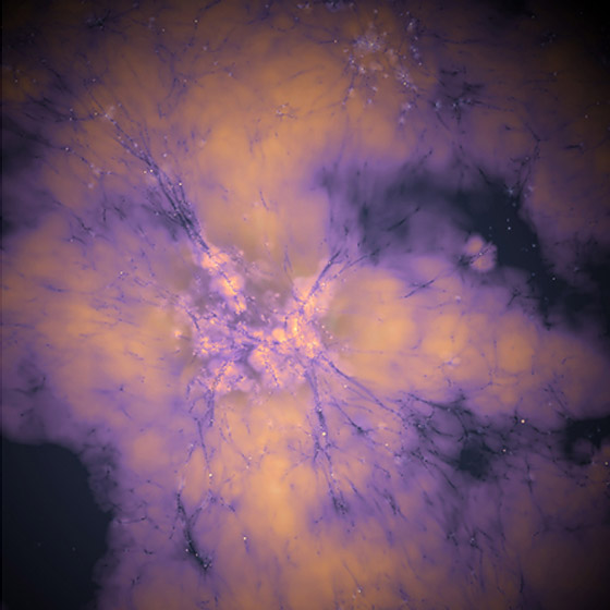 لا أثر لها.. علماء يفكون لغز لا أثر لها.. علماء يفكون لغز