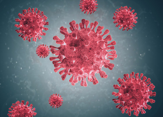 منها إنشاء فيروس قاتل.. طرق علمية غريبة حاول بها العلماء حل المشاكل الكبرى صورة رقم 2 منها إنشاء فيروس قاتل.. طرق علمية غريبة حاول بها العلماء حل المشاكل الكبرى صورة رقم 2