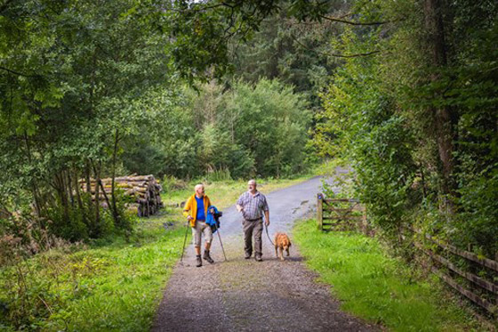 رحلات لمحبي المشي لمسافات طويلة في أوروبا خلال فصل الخريف صورة رقم 3 رحلات لمحبي المشي لمسافات طويلة في أوروبا خلال فصل الخريف صورة رقم 3