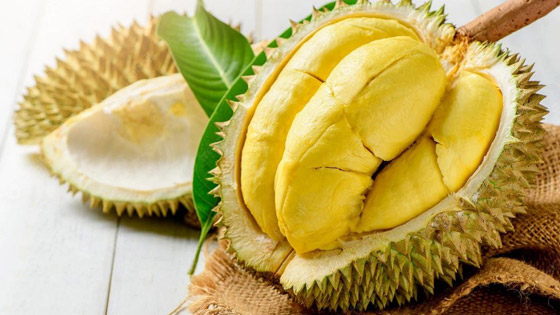 بالصور: أغراض غريبة ممنوع حملها على متن الطائرة.. ما هي؟ صورة رقم 9