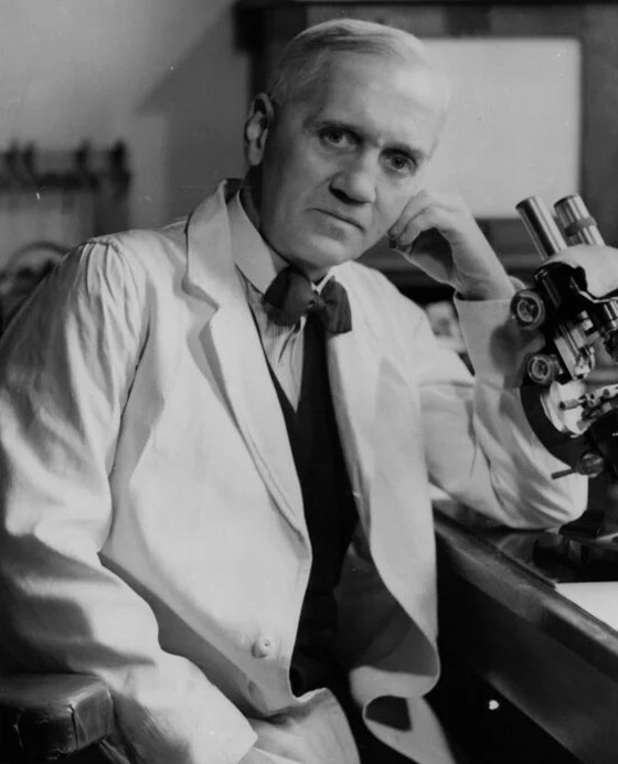 بالصور: الشخصيات الـ10 الأبرز التي حصلت على جائزة نوبل عبر التاريخ صورة رقم 6 بالصور: الشخصيات الـ10 الأبرز التي حصلت على جائزة نوبل عبر التاريخ صورة رقم 6