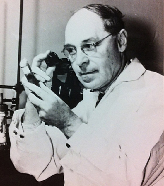 بالصور: الشخصيات الـ10 الأبرز التي حصلت على جائزة نوبل عبر التاريخ صورة رقم 7 بالصور: الشخصيات الـ10 الأبرز التي حصلت على جائزة نوبل عبر التاريخ صورة رقم 7