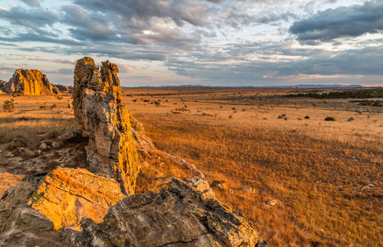 خاص بعشاق المغامرة.. تعرفوا إلى الوجهات الغنية بالحياة البرية صورة رقم 2 خاص بعشاق المغامرة.. تعرفوا إلى الوجهات الغنية بالحياة البرية صورة رقم 2