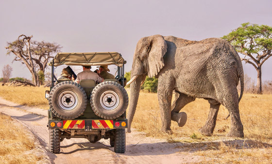 خاص بعشاق المغامرة.. تعرفوا إلى الوجهات الغنية بالحياة البرية صورة رقم 3 خاص بعشاق المغامرة.. تعرفوا إلى الوجهات الغنية بالحياة البرية صورة رقم 3