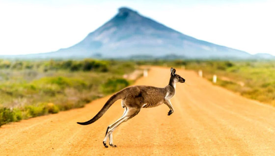 خاص بعشاق المغامرة.. تعرفوا إلى الوجهات الغنية بالحياة البرية صورة رقم 4 خاص بعشاق المغامرة.. تعرفوا إلى الوجهات الغنية بالحياة البرية صورة رقم 4