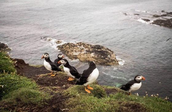 خاص بعشاق المغامرة.. تعرفوا إلى الوجهات الغنية بالحياة البرية صورة رقم 7 خاص بعشاق المغامرة.. تعرفوا إلى الوجهات الغنية بالحياة البرية صورة رقم 7