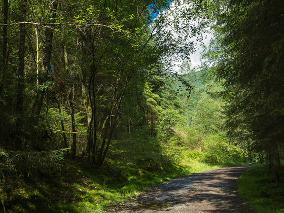 6 جولات مثالية للاستمتاع بفصل الخريف عند السياحة في بريطانيا صورة رقم 3 6 جولات مثالية للاستمتاع بفصل الخريف عند السياحة في بريطانيا صورة رقم 3