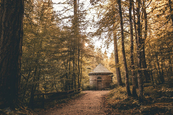 6 جولات مثالية للاستمتاع بفصل الخريف عند السياحة في بريطانيا صورة رقم 5 6 جولات مثالية للاستمتاع بفصل الخريف عند السياحة في بريطانيا صورة رقم 5