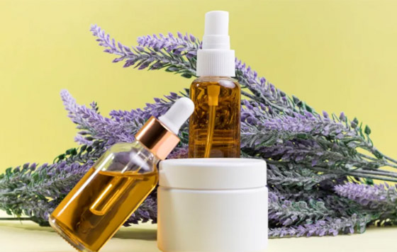  ���� ��� 1 - ����� ��� �������� �����: ������ ����� �������