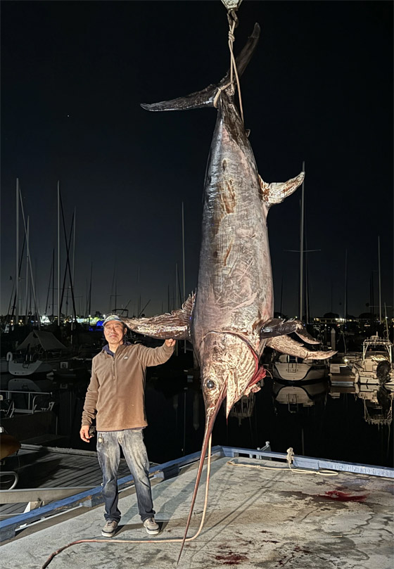 رجل يسجل رقما قياسيا باصطياد أضخم سمكة أبو سيف.. فيديو صورة رقم 1 رجل يسجل رقما قياسيا باصطياد أضخم سمكة أبو سيف.. فيديو صورة رقم 1