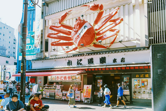 الكشف عن أفضل وجهات السفر لعام 2025 صورة رقم 2 الكشف عن أفضل وجهات السفر لعام 2025 صورة رقم 2