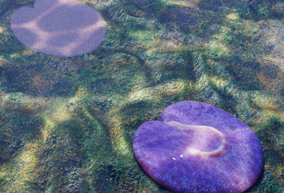 يمتلك خلية واحدة.. اكتشاف كائن غريب يُعتبر من أقدم الحيوانات على كوكب الأرض صورة رقم 2 يمتلك خلية واحدة.. اكتشاف كائن غريب يُعتبر من أقدم الحيوانات على كوكب الأرض صورة رقم 2