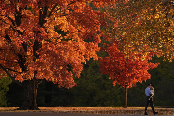 الخريف يلون العالم بـ الخريف يلون العالم بـ