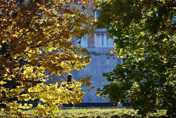 الخريف يلون العالم بـ الخريف يلون العالم بـ