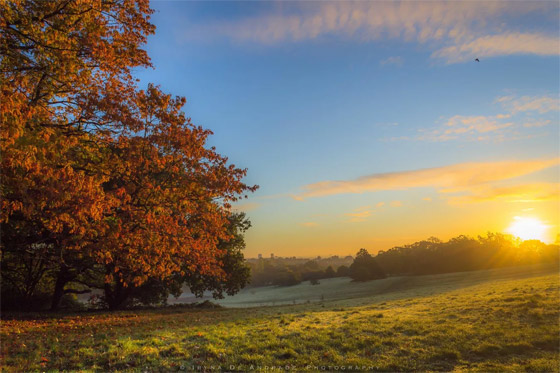 الخريف يلون العالم بـ الخريف يلون العالم بـ