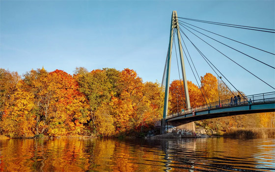 الخريف يلون العالم بـ الخريف يلون العالم بـ