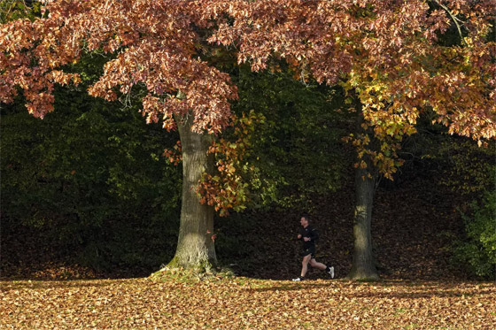 الخريف يلون العالم بـ الخريف يلون العالم بـ