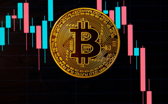 صورة رقم 4 - من 2000 دولار إلى 27 مليون.. رحلة ثروة بفضل عملة صورة رقم 4 - من 2000 دولار إلى 27 مليون.. رحلة ثروة بفضل عملة