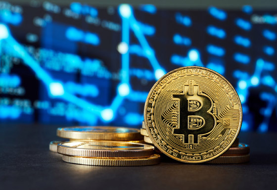 صورة رقم 2 - من 2000 دولار إلى 27 مليون.. رحلة ثروة بفضل عملة صورة رقم 2 - من 2000 دولار إلى 27 مليون.. رحلة ثروة بفضل عملة