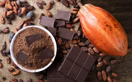 أكثرها لذة الشوكولاتة الداكنة.. 8 أطعمة غنية بالدهون الصحية صورة رقم 6 أكثرها لذة الشوكولاتة الداكنة.. 8 أطعمة غنية بالدهون الصحية صورة رقم 6