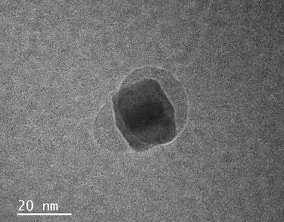 أول فيديو في التاريخ يوثق اندماج ذرات داخل فقاعة ماء.. فيديو صورة رقم 1 أول فيديو في التاريخ يوثق اندماج ذرات داخل فقاعة ماء.. فيديو صورة رقم 1