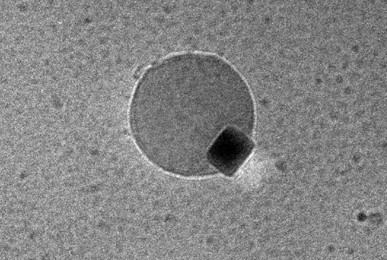 أول فيديو في التاريخ يوثق اندماج ذرات داخل فقاعة ماء.. فيديو صورة رقم 2 أول فيديو في التاريخ يوثق اندماج ذرات داخل فقاعة ماء.. فيديو صورة رقم 2