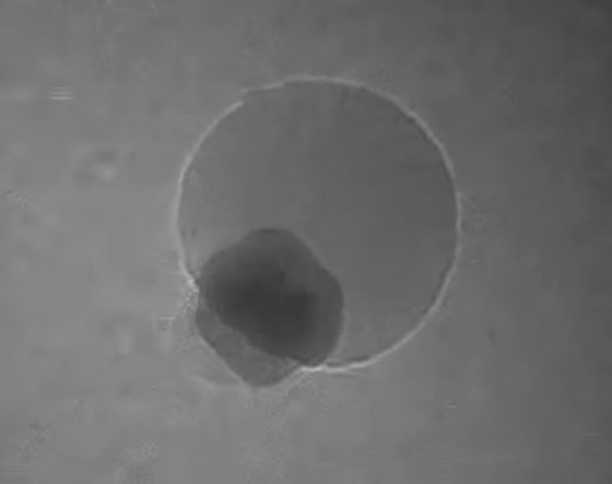 أول فيديو في التاريخ يوثق اندماج ذرات داخل فقاعة ماء.. فيديو صورة رقم 3 أول فيديو في التاريخ يوثق اندماج ذرات داخل فقاعة ماء.. فيديو صورة رقم 3