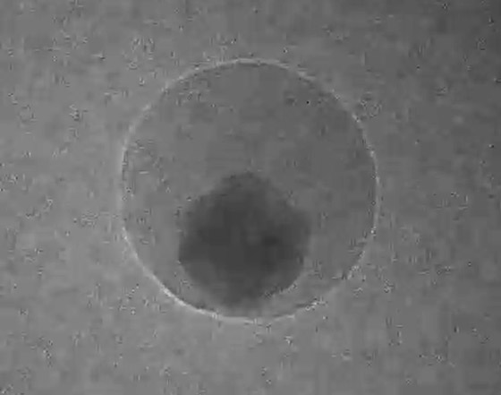 أول فيديو في التاريخ يوثق اندماج ذرات داخل فقاعة ماء.. فيديو صورة رقم 5 أول فيديو في التاريخ يوثق اندماج ذرات داخل فقاعة ماء.. فيديو صورة رقم 5