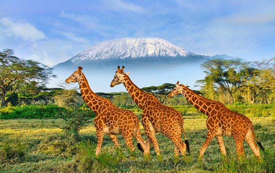 10 وجهات تستحق الزيارة عند التخطيط للسياحة خلال شهر نوفمبر (تشرين الثاني) صورة رقم 10 10 وجهات تستحق الزيارة عند التخطيط للسياحة خلال شهر نوفمبر (تشرين الثاني) صورة رقم 10