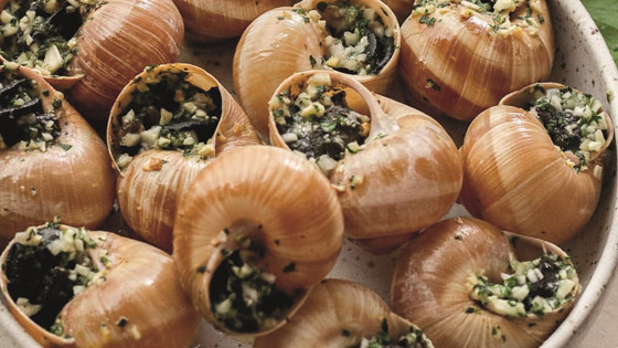 إليكم وصفة طبق الإسكارغو (الحلزون) على الطريقة الفرنسية صورة رقم 3