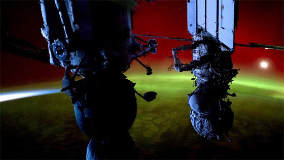 لزراعتها للإنسان بالأرض.. تطوير أنسجة كبد في الفضاء صورة رقم 6 لزراعتها للإنسان بالأرض.. تطوير أنسجة كبد في الفضاء صورة رقم 6