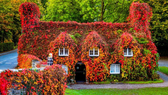 بالصور: كتب تبني مدن مميزة من حكايات خرافية! صورة رقم 10 بالصور: كتب تبني مدن مميزة من حكايات خرافية! صورة رقم 10