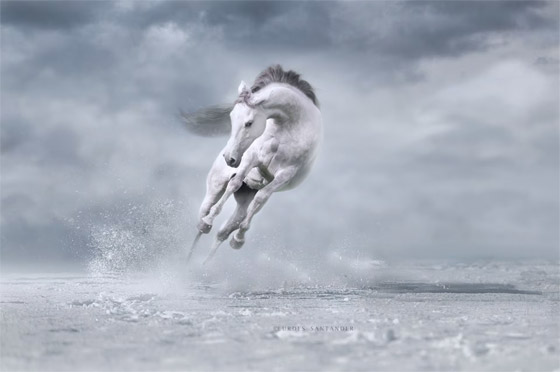 تحت النجوم.. مصورة توثق مشهدا مؤثرا بين أنثى دب وصغارها صورة رقم 5 تحت النجوم.. مصورة توثق مشهدا مؤثرا بين أنثى دب وصغارها صورة رقم 5