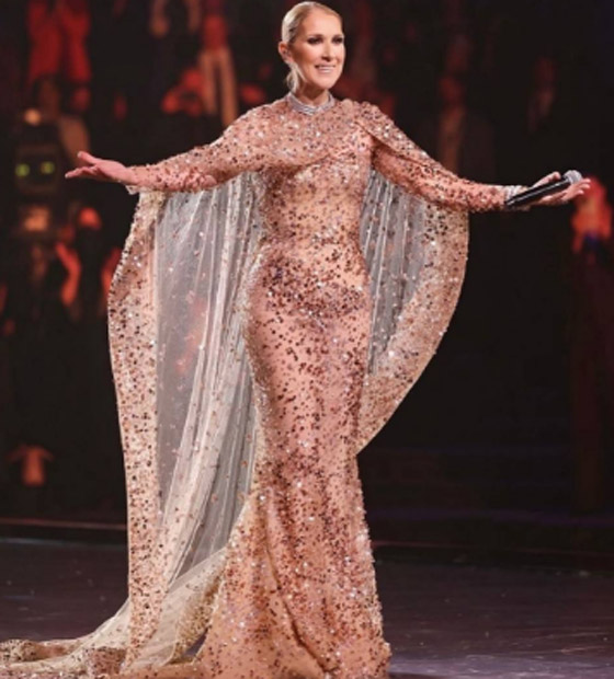 هل تسببت سيلين ديون بإحراج  نانسي عجرم في عرض ازياء إيلي صعب؟ صورة رقم 8