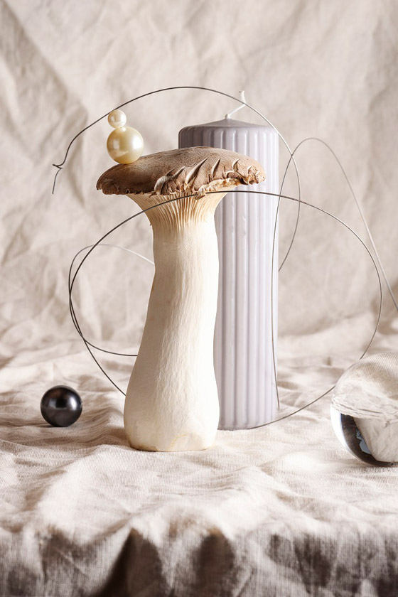  ���� ��� 5 - ����� �� ���� ������ �� ����� ����� ��� ����� ������ �������