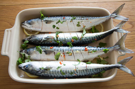 لحياة بدون أمراض مزمنة.. 9 أطعمة غنية بأحماض أوميغا-3 صورة رقم 3 لحياة بدون أمراض مزمنة.. 9 أطعمة غنية بأحماض أوميغا-3 صورة رقم 3