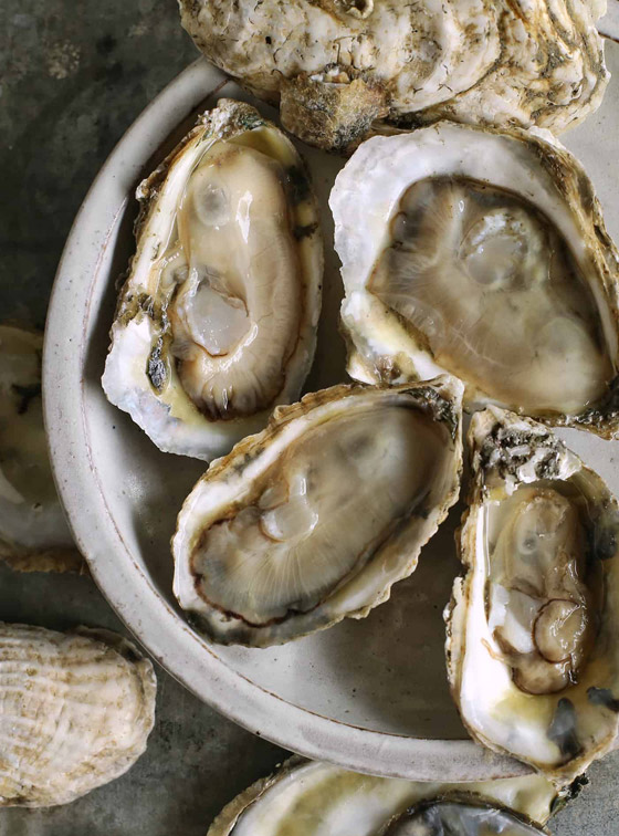 لحياة بدون أمراض مزمنة.. 9 أطعمة غنية بأحماض أوميغا-3 صورة رقم 10 لحياة بدون أمراض مزمنة.. 9 أطعمة غنية بأحماض أوميغا-3 صورة رقم 10