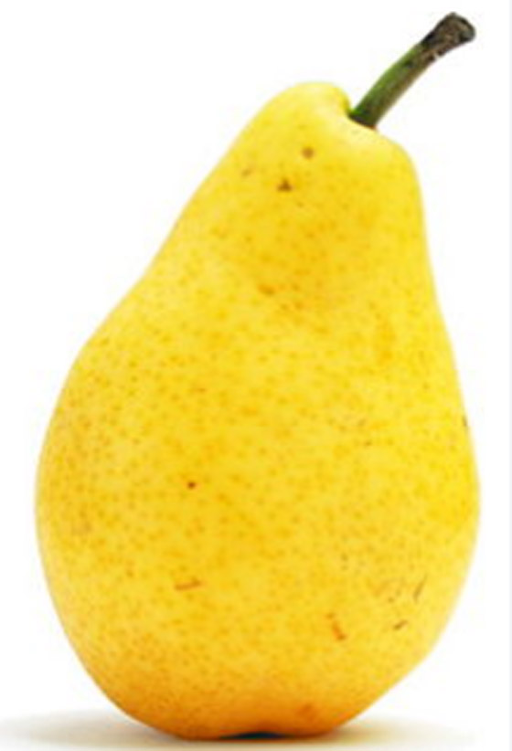 6 فواكه شتوية غنية بمضادات الأكسدة تعزز مناعتك وتحميك من العدوى صورة رقم 4 6 فواكه شتوية غنية بمضادات الأكسدة تعزز مناعتك وتحميك من العدوى صورة رقم 4