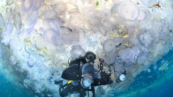 الكشف عن أفضل وجهات وتجارب السفر في العالم لعام 2025 صورة رقم 1 الكشف عن أفضل وجهات وتجارب السفر في العالم لعام 2025 صورة رقم 1