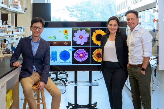 فيروسات تلتهم البكتيريا وتصنع أشكالا طبيعية تشبه الزهور (صور) صورة رقم 2