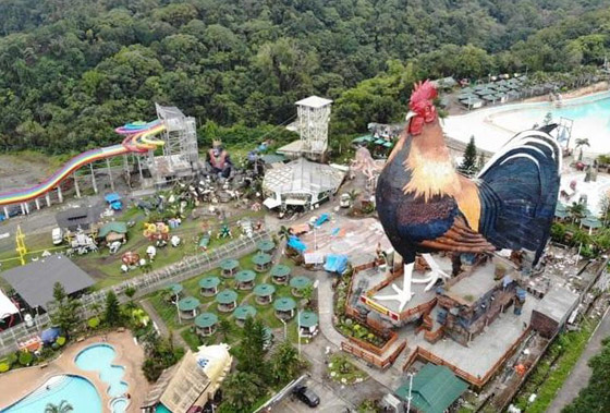 فندق بالفلبين يحقق رقما قياسيا كأكبر مبنى بالعالم على شكل دجاجة صورة رقم 3