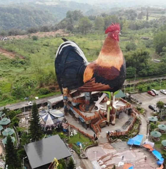 فندق بالفلبين يحقق رقما قياسيا كأكبر مبنى بالعالم على شكل دجاجة صورة رقم 8