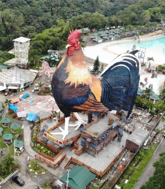 فندق بالفلبين يحقق رقما قياسيا كأكبر مبنى بالعالم على شكل دجاجة صورة رقم 9