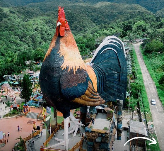 فندق بالفلبين يحقق رقما قياسيا كأكبر مبنى بالعالم على شكل دجاجة صورة رقم 10