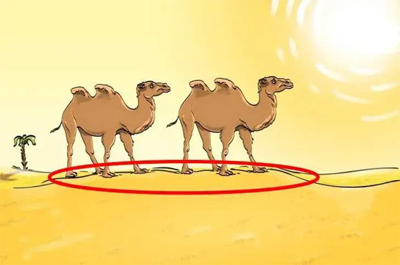 اختبر قوة ملاحظتك: ماذا ينقص هذه الصورة؟ حاول الإجابة في 6 ثوان صورة رقم 2