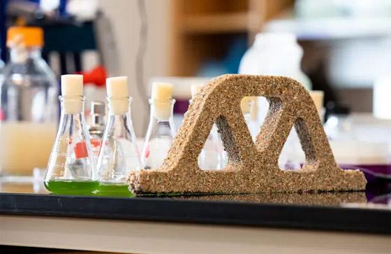 باحثون يزرعون بكتيريا في مواد البناء.. فما الهدف؟ وكيف يعمل الأمر؟ صورة رقم 5