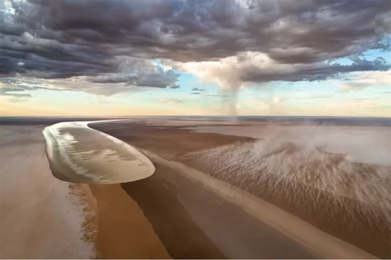 ألق نظرة على صور مسابقة مصور الحياة البرية لعام 2024 صورة رقم 2